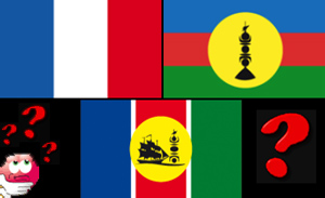 Quel drapeau pour la NC ?