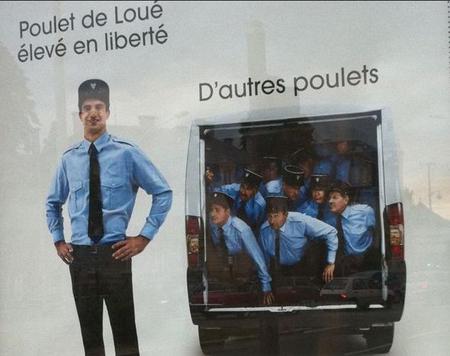 Les Poulets de Loué