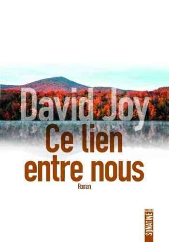 D. Joy - Ce lien entre nous
